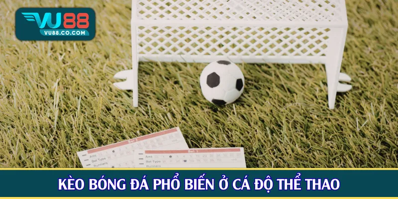 Kèo bóng đá phổ biến ở cá độ thể thao