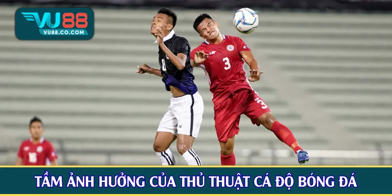 Tầm ảnh hưởng của thủ thuật cá độ bóng đá