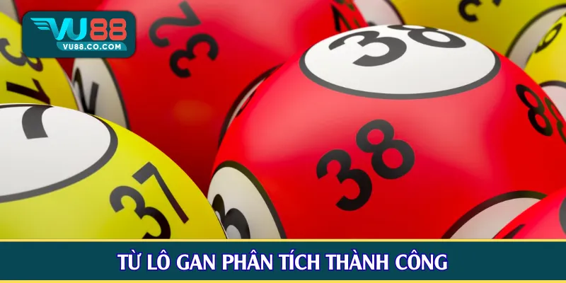 Từ lô gan phân tích thành công